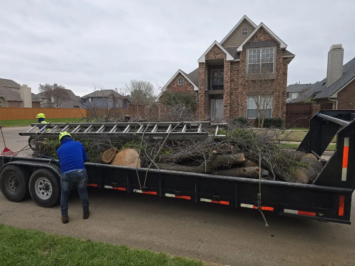 Expert Tree Pest Control with proper safety equipment in Huntsville